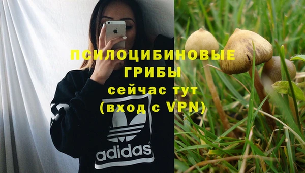 гидропоника Арсеньев