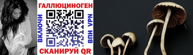 Псилоцибиновые грибы MAGIC MUSHROOMS  гидра маркетплейс  Инта 